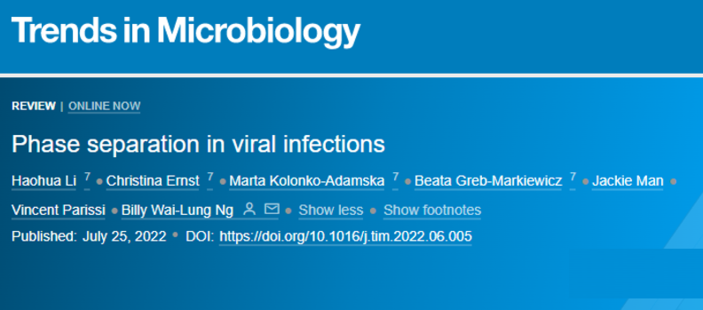 Telemonitoring for patients with inflammatory bowel disease amid the COVID-19 pandemic—A cost-effectiveness analysis